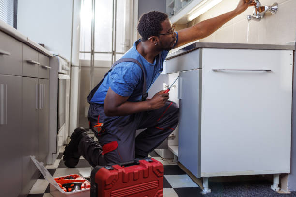 Best Commercial Plumbing Services  in Franklin Park, FL